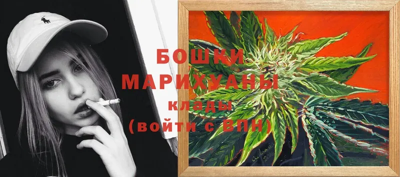 Канабис OG Kush  Калуга 